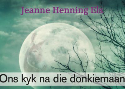 Ons kyk na die donkiemaan