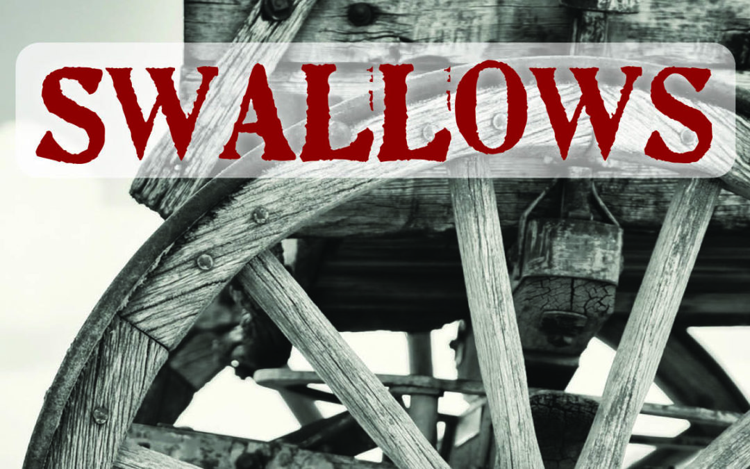 Swallows