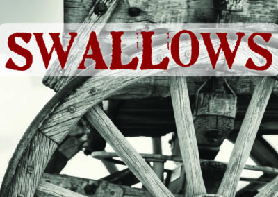 Swallows